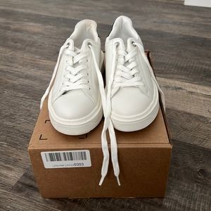 STEVE MADDEN sneaker